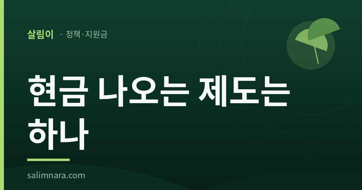 청년취업지원 2026 — 현금 나오는 제도는 하나 대표이미지