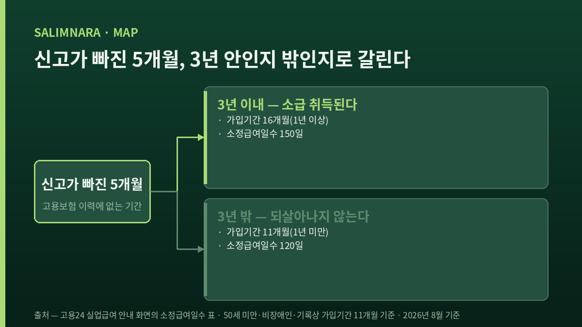 미신고 기간이 3년 안인지 밖인지에 따라 결과가 둘로 갈리는 분기 도표