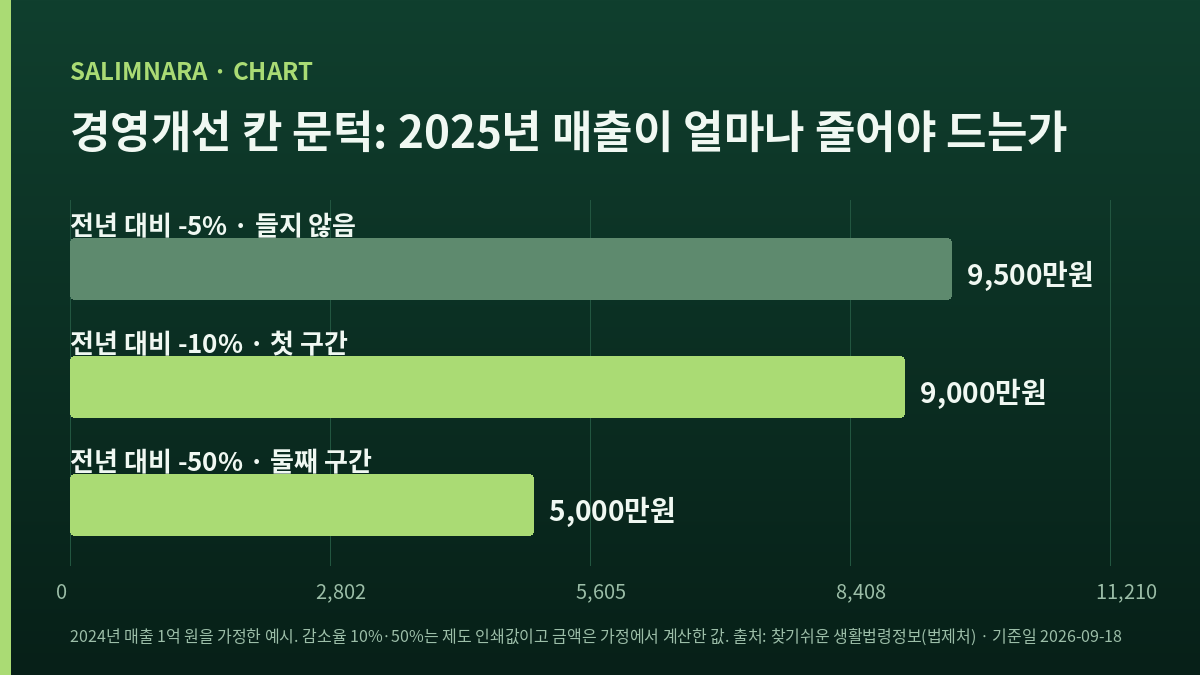 경영개선 칸 진입 문턱을 2024년 매출 1억 원 가정으로 보인 가로 막대 도표