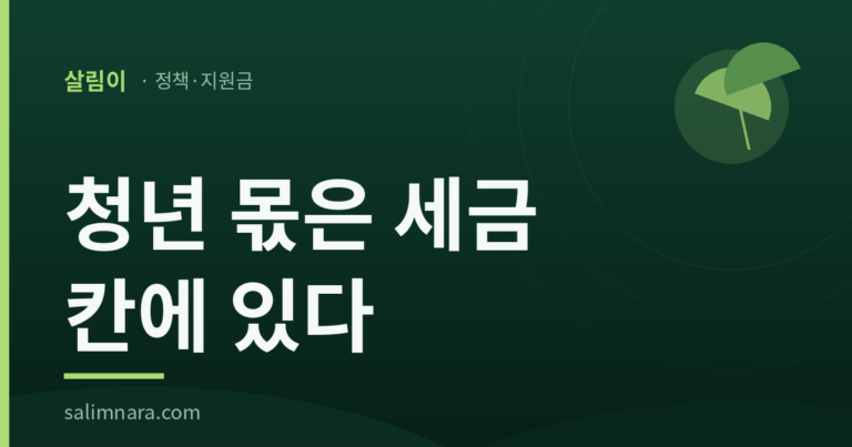 청년 몫은 세금 칸에 있다