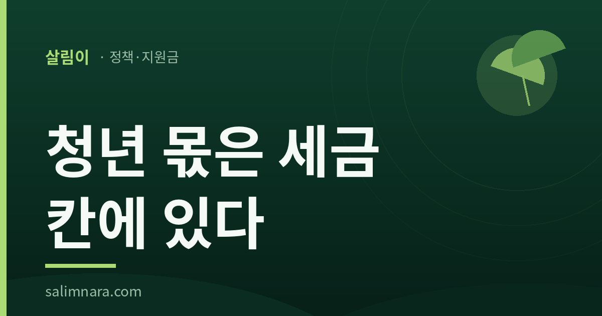 청년 몫은 세금 칸에 있다