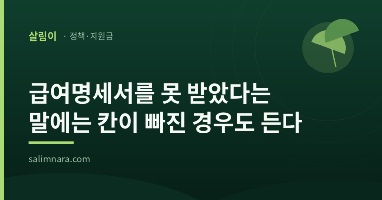 급여명세서를 못 받았다는 말에는 칸이 빠진 경우도 든다