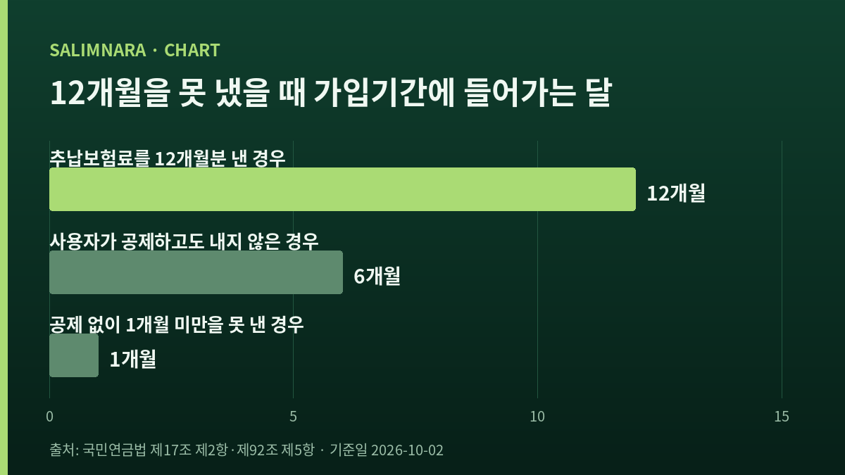 12개월을 못 냈을 때 사유별로 가입기간에 들어가는 달 수를 나란히 세운 자체 도표